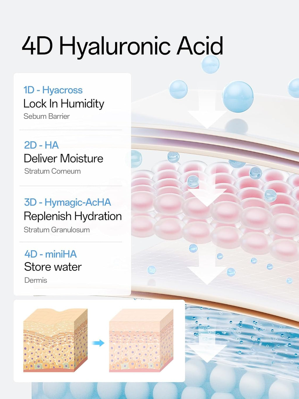 Hyaluronic Acid Serum 3% for Face with 4D Multi-Layer Hydration | Ultra Hydrating Anti-Aging Serum | Moisturizer for Dry & Sensitive Skin | Pre-Makeup Skincare | Single-Use Vials 30PCS