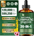 26-In-1 Liposomal Lymphatic Drainage Drops, Echinacea, Turmeric, Elderberry, Dandelion, Vitamins and Mullein Drops for Lungs, Lymphatic, Immune Support, Liver Cleanse Detox & Repair, 2 Fl Oz
