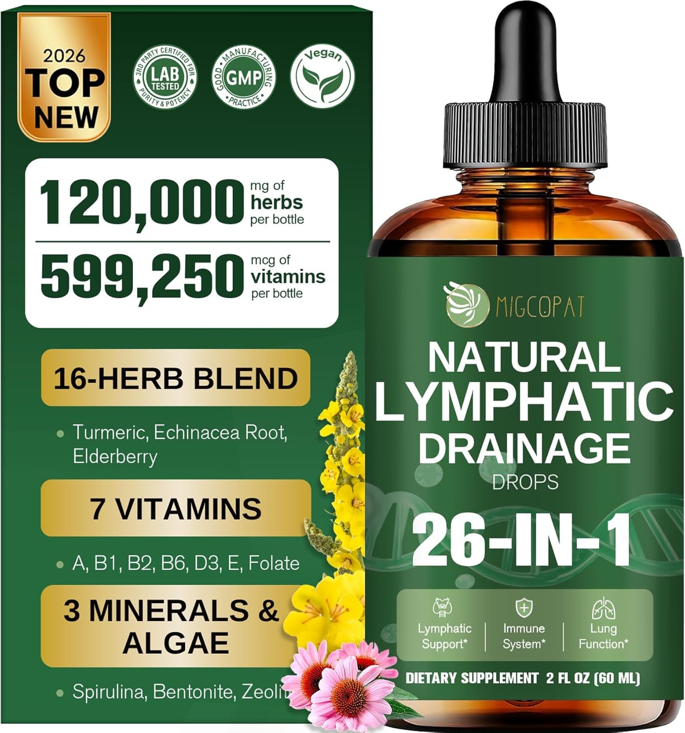 26-In-1 Liposomal Lymphatic Drainage Drops, Echinacea, Turmeric, Elderberry, Dandelion, Vitamins and Mullein Drops for Lungs, Lymphatic, Immune Support, Liver Cleanse Detox & Repair, 2 Fl Oz