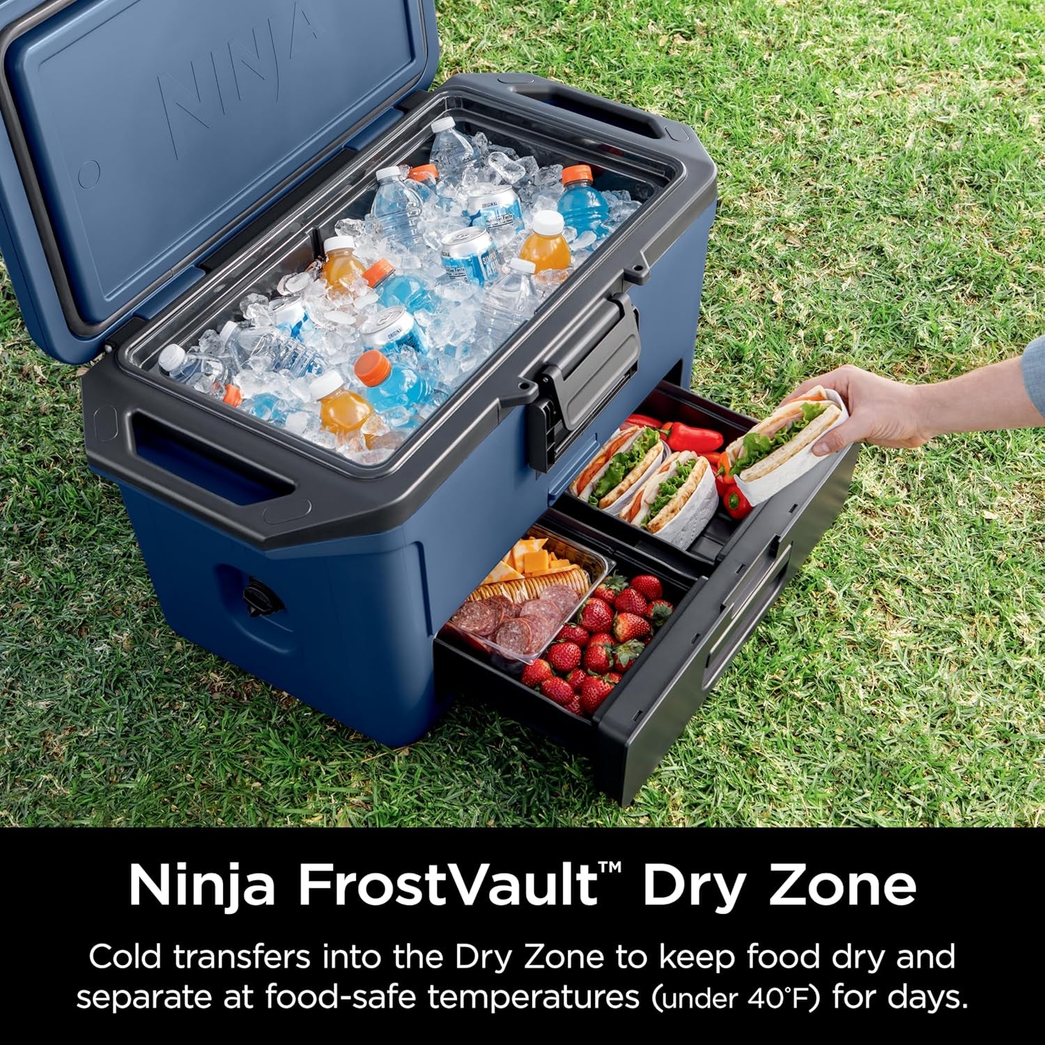 Ninja Frostvault 30Qt Hard Cooler with Dry Zone, Integrated Fridge-Temp Dry Storage Drawer